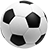 蜂群FC
